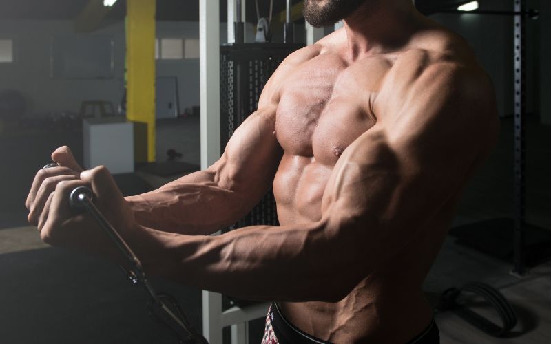 How to Build Lean Muscle